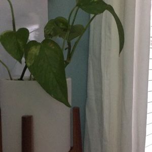 Meet your Posher, Jacqui